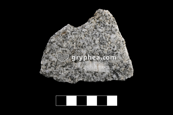 Granite porphyrique - échantillon (Alpes, Vallorcine) - gryphea.com